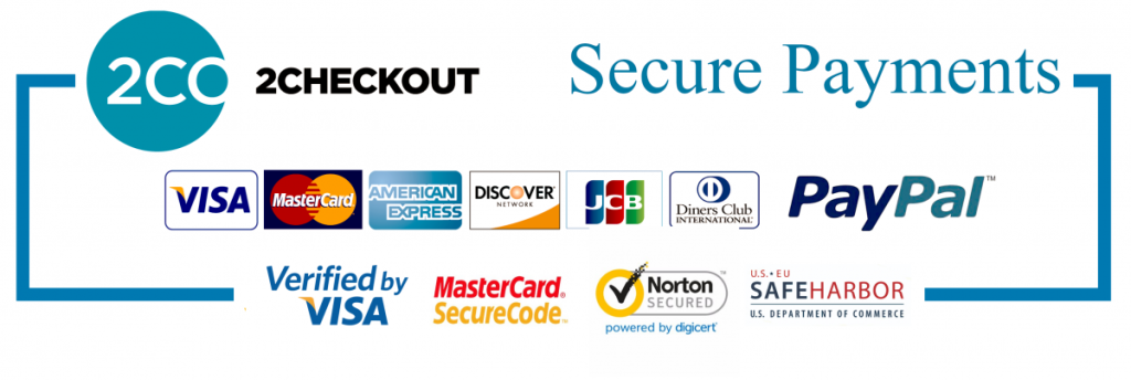 2 checkout payment online